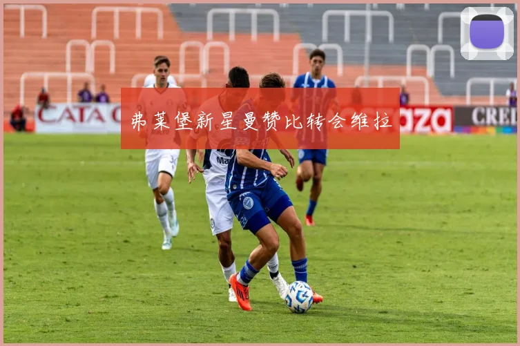 弗莱堡新星曼赞比转会维拉
